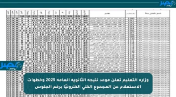 وزارة التعليم تعلن موعد نتيجة الثانوية العامة 2025 وخطوات الاستعلام عن المجموع الكلي إلكترونيًا برقم الجلوس